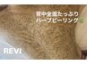 REVI 背中お尻　ボディーハーブピーリング【剥離なし】ブライダルニキビケア