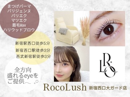 ロコラッシュ 新宿西口大ガード店の写真