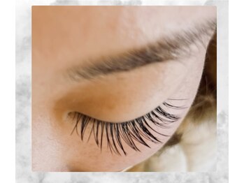 クムル(kumr.)/【フラットラッシュ140本】