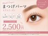 cocoa専用【Jr.デビュー直前！】まつげパーマ練習モデル募集　￥2500
