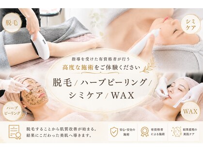 エルアンドエル(L&L)の写真