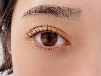 デジール/パリジェンヌ上下