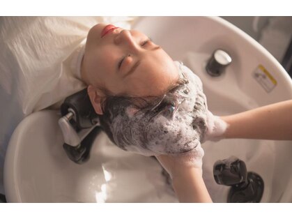 シークエンス(SeaQuence)の写真