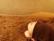 ケムズ インプルーブメントサロン(KMS IMPROVEMENT salon)の写真/酵素風呂で温活！発酵熱が生み出す自然の温もりで体を深部から温め発汗を促進。免疫力UPやデトックスに最適