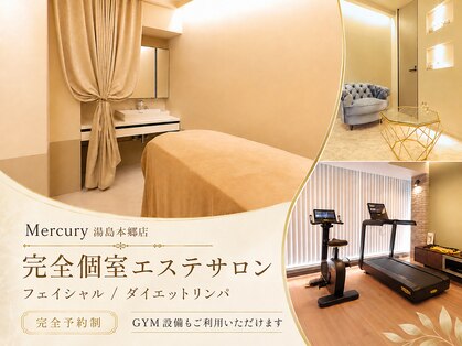 ボルテージ マーキュリー 湯島本郷店(Voltage Mercury)の写真