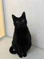 ビューティーサロン ココ 名駅店(COCO) 黒猫のぷうくんです♪