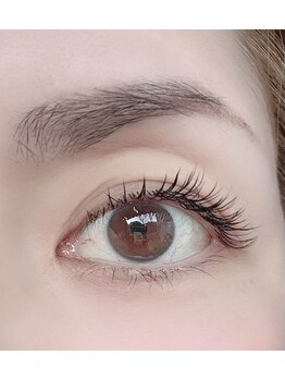 カン(KAN)/フラットラッシュ140本