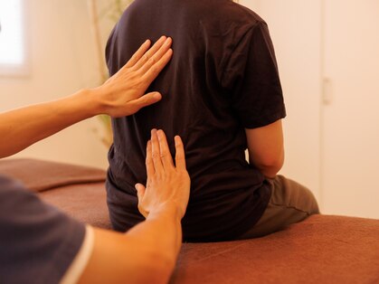 ソラ(SORA)の写真