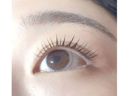 プレジア(Pleasure)の写真