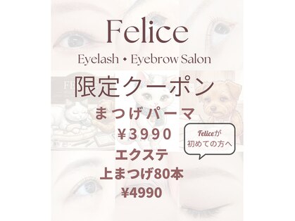 フェリーチェ(Felice)の写真