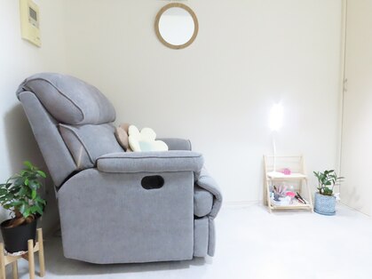 シェル(shell)の写真