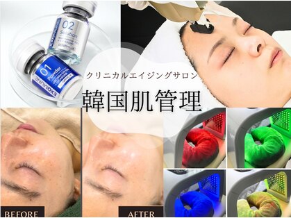 センシズ(Senses)の写真