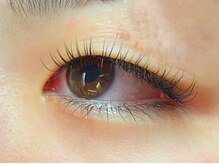 ウルカ アイラッシュ(uruka EYELASH)/フラットラッシュ　100本