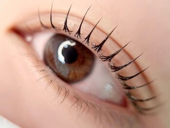 クレア 岐阜市(CLEA)の写真/自然な上向きまつ毛で、すっぴんでも美しく上品なお目元へ＊丁寧なカウンセリングで初めての方にも◎