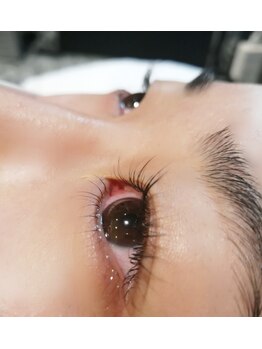 ネモフィリア(Nemophilia)/上下まつ毛パーマ