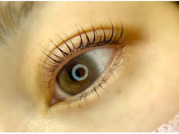 パルトネール(partenaire)/上下ラッシュリフト