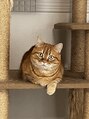 マスターのタイ古式 ニャンコにワンコに動物大好き♪