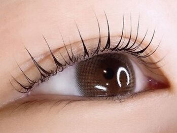 シャンティー ヒラギシ(Shanti hiragishi)の写真/まつげパーマ・マツエク/フラットラッシュ♪ご新規様￥3850～上品なぱっちり目元に☆お得なクーポンあり！