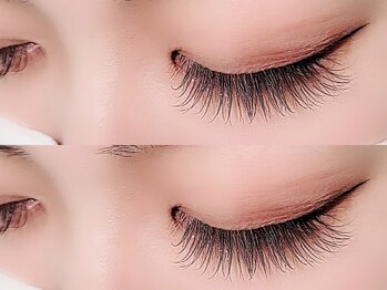 ラ ルーチェ(La luce)/フラットラッシュ