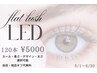 6月限定SPECIALクーポン！LEDエクステ120本6600円→5000円♪オフ代込み