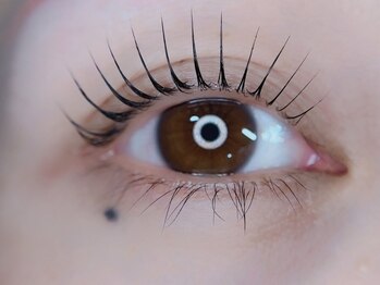 アイフィル(Eye FILL)の写真/韓国風束感まつ毛が人気♪話題沸騰のNUNUラッシュリフトで満足度の高い似合わせデザインをご提案★