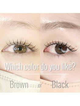 エメ 市川 本八幡(aimer)/フラットラッシュ/黒or茶