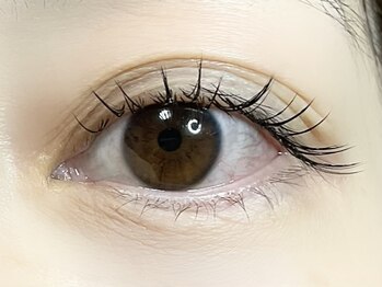 ミニョン(mignon)/セーブルエクステ