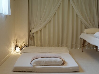 パーム 調布(palm)の写真