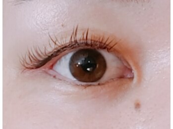 オレンジスター バイ パッセージ(ORANGE STAR BY PASSAGE)/フラットラッシュ[相模大野]