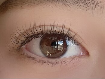 イヴ(Eve)/まつげエクステ　お試し60本