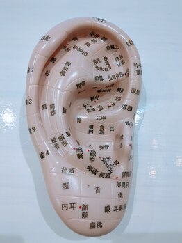 キミノミミ(君のmimi)/耳つぼ認定講師です