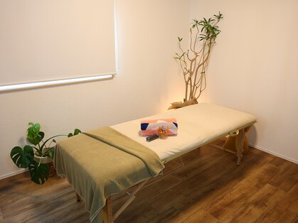 クスノキ(9sの木)の写真