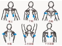 神経活性整体院クラタ(神経活性整体院KURATA)/姿勢作りに大切な肩甲骨の動き