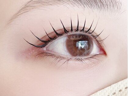 ベル(BELLE)の写真