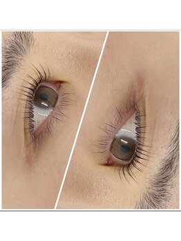 ラルジュヘアイコール(Large hair equal)/眉毛パーマ/アイブロウ