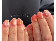 プチメゾン トウキョウ(Petit Maison Tokyo)/オーロラフィルムネイル