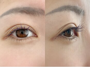 ムニ(muni)/LEDフラットラッシュ100本