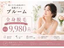 プルーム(Plume)