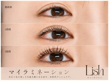 リッシュ 八王子(Lish)