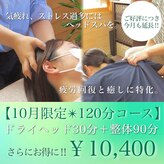 整体リード