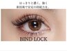 再【高持続力】特許技術★バインドロック80束（カラー変更も同価格）