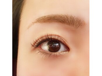 カプリ(CAPLI)/＜ボリュームデザイン＞