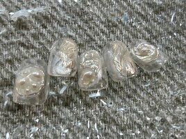 パールニュアンス