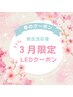 3月限定クーポン【 LED+下エク50本 】¥5200→4900