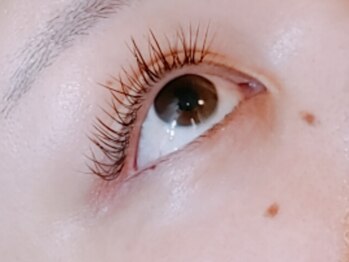 オレンジスター バイ パッセージ(ORANGE STAR BY PASSAGE)/フラットラッシュ[相模大野]