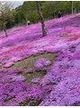 リラクゼーション らくにな～る 北海道の芝桜