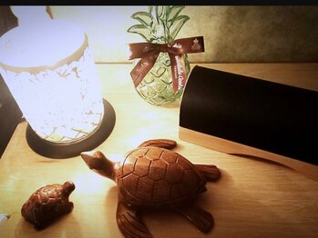 ヨサパーク ラニ 新札幌店(YOSA PARK Lani)/インテリア1 ダイエット/美肌