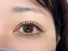 ルピナス(Lupinus)/フラットラッシュ180本下80本