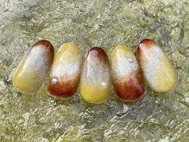 定額デザインコース