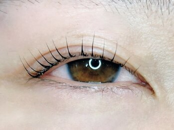 まつ毛サロン Linkの写真/イメージやお好みに合わせて毛量調節◎SNSで話題!!【ティントラッシュリフト/LEDフラットマットラッシュ】